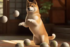 如何让柴犬听话？原理其实简单图片