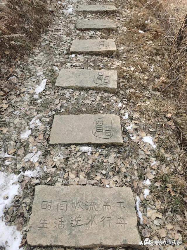 上苇甸村 上苇甸村海拔(图21) 上苇甸村 上苇甸村海拔(图21)