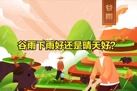 雨生百谷，谷雨下雨好还是晴天好？老农为何怕下雨？图片