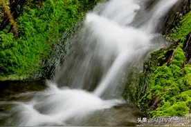 迎驾贡酒“国家级绿色工厂”背后的隐形王牌图片