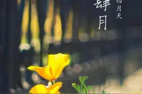 你是人间四月天图片