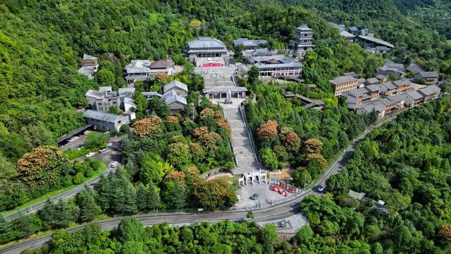 【图集】栾树斑斓映家和 孔学堂邀您共赴重阳敬老之约