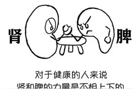 中医角度来看，怎么理解肾为先天之本，脾为后天之本？图片