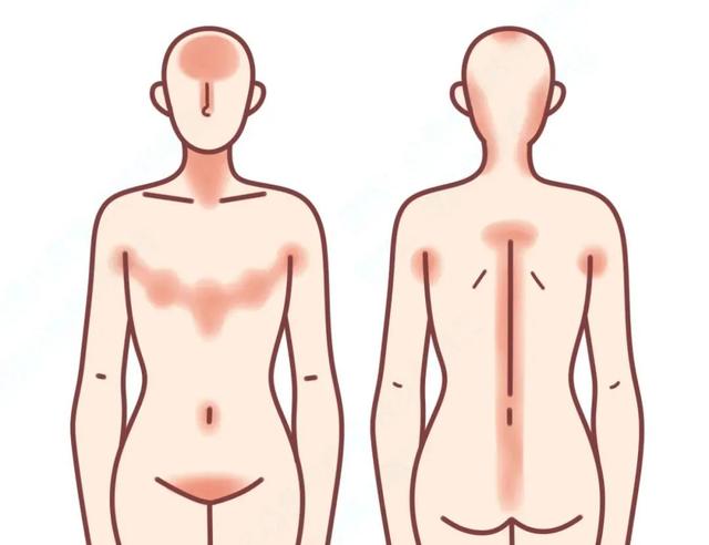 身体乳毛怎么擦才长