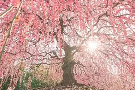 这么拍照片，画面不随便，用5个摄影技巧把美景展现图片