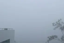 厦门回南天，雷声隆隆，潮雹了图片