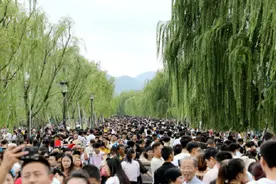 五一聚餐，提前准备好这4款酒，质高价平，让你不失颜面图片