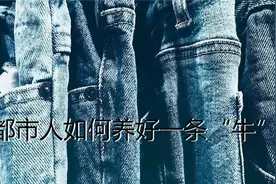 都市人如何养好一条“牛”？图片