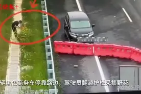 爱情太“上头”：男子在高速上违停采花献女友图片