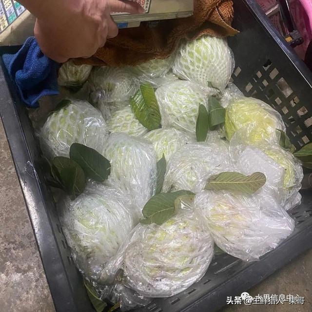 小众水果芭乐，又被茶饮店们带火了，最全芭乐说明书