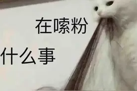 兔兔【沙雕表情包系列】：在嗦粉，什么事？图片