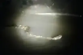 河南周口一村庄河中现巨型“长虫”？千万网友在线围观寻找！当地回应图片