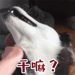 被“宠着长大”的狗,这几个特征很明显
