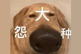 想把这些考四川选调生的宝藏资料告诉所有人！图片