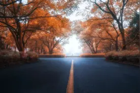 这篇《十无益》一夜间火了，短短十句话，说透为人处世大智慧图片