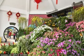 不出京赏春花，穿梭“热带雨林”，就在北京这些地方！图片