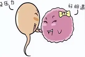 卵泡破裂说明要排卵了，会出现这些征兆，在家自己观察图片