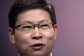 华为刚上架的这99元服务，把所有网友整不会了图片