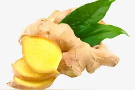 神奇的蔬菜——姜图片