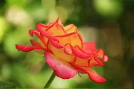 无论夫妻还是情人，再相爱，有三条底线别轻易触犯图片