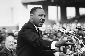 DAO——一个美丽的新世界？图片