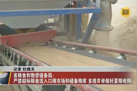 省粮食和物资储备局：严禁超标粮食流入口粮市场和储备粮库 多措并举做好夏粮收购图片
