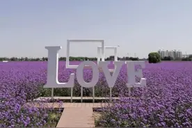 什么是偏爱？图片