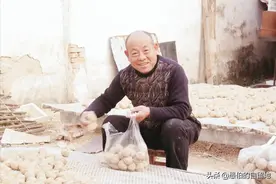 江苏丰县城南，有一户人家制作变蛋，每天一万枚，年赚20万图片