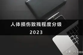 2023版：人身损害1-10级伤残等级认定标准图片