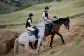 骑了这么多次马，你却不知道它是哪里来的？图片