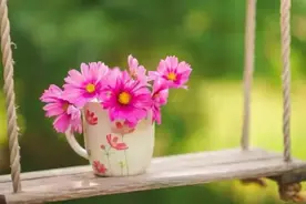 记住这些，做到心中有数图片