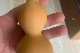 葫芦育苗全过程（教程）图片