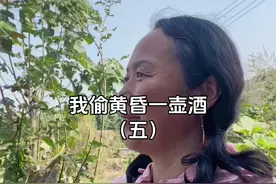 我偷黄昏一壶酒，夕阳还我几许愁。 奈何晚霞随风去，仅剩空杯独自忧。 时光如梭人渐老，岁月无情不停留。 世间繁华皆是梦，终是一人度春秋。 #情感共鸣 #乡愁 #我的乡村生活 #生活感悟 #咏梅小院视频封面