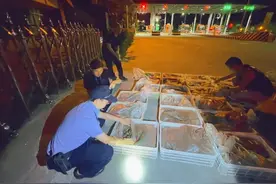 非法狩猎、收购28000余只中华野生蟾蜍！南充警方抓获23名嫌疑人！图片