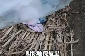 河南：流浪女寒冬在麦地打地铺长相清秀不愿回家，村民拿来热包子图片