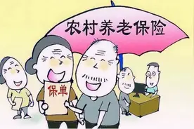 1963年出生的可以一次性补缴农村的养老保险吗？图片