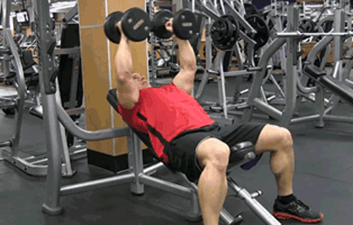 健身锻炼胸肌有多少器材可用？