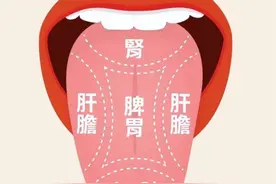 春天养肝，柴胡舒肝丸，逍遥丸 龙胆泻肝丸哪个效果好？中医来教你图片