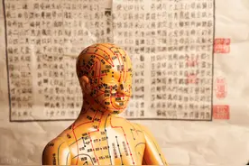 经络，它是肌肉筋膜中的缝隙，我用这个理念来治病图片