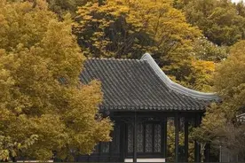 古人玄怪轶事：茅山道士图片