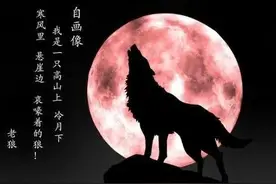 “孤狼”司马南，还是听《光明网》的劝吧！图片