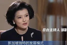 央视主持邹韵火了！全英文采访李显龙惊艳网友，曾征服康辉董卿图片