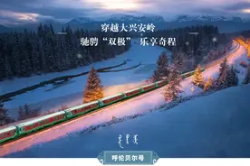 呼伦贝尔号，开往雪国的极地列车图片