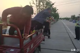 曝光!大蒜收获农忙时，开车上路上别“误”了安全!图片
