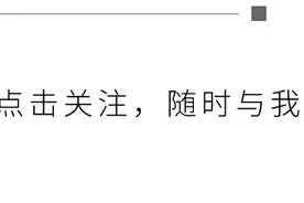 淮海战役是谁指挥的？谭老板的“贪天之功”评语是怎么回事？图片