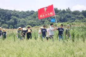 暑假来了｜长沙：犁田摸鱼划龙舟，这样的研学活动学生喜欢图片