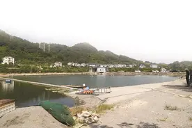 钓一条鱼最高可兑换现金1万元 鱼塘变赌场 主打一个“愿者上钩”图片