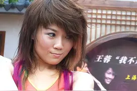 歌手王蓉：25岁爆红，31岁整容“被精神病”，如今她还好吗？图片