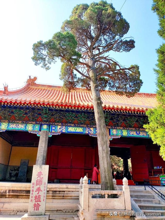 游山东曲阜孔庙,跨越时空,赴一场千年之约