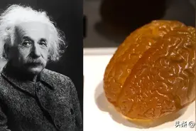 爱因斯坦去世后大脑竟被切割成240块，如今他的大脑现在在哪里？图片